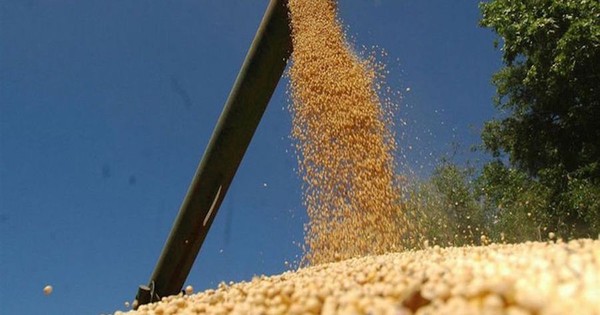 Molienda se retrae aún más en el mes de julio