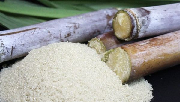 Producción de primera: Azúcar orgánica Manduvira endulza a 32 países del mundo y es número uno en calidad