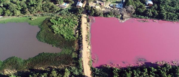 Solicitan el cierre definitivo de la curtiembre por la contaminación de la Laguna Cerro de Limpio » Ñanduti