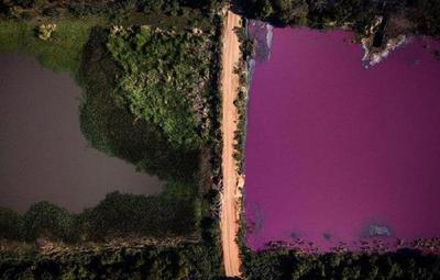 ¡Alta gestión de Leo DiCaprio! MADES solicitó cierre de empresa que contaminó Laguna Cerro
