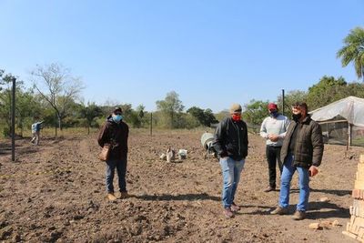 Los jóvenes apuestan a la horticultura en Pilar - Nacionales - ABC Color