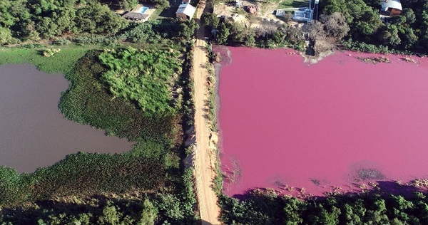 Cancelan licencia y demandan a empresa por contaminación de Laguna Cerro