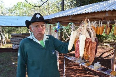 Productor campesino expondrá sobre semillas nativas en la web - Nacionales - ABC Color