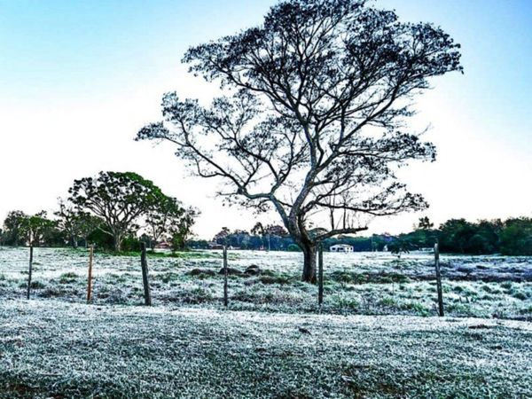 Temperaturas bajo cero marcaron un registro histórico en el país