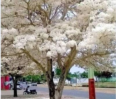 Sábado frío a fresco y soleado, con temperatura en ascenso