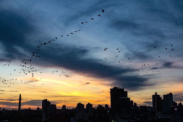 Pronostican sábado frío, pero soleado - Megacadena — Últimas Noticias de Paraguay
