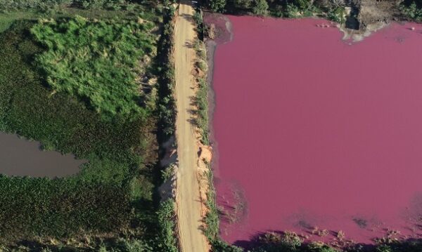 Mades solicita cierre definitivo de firma tras contaminación de laguna