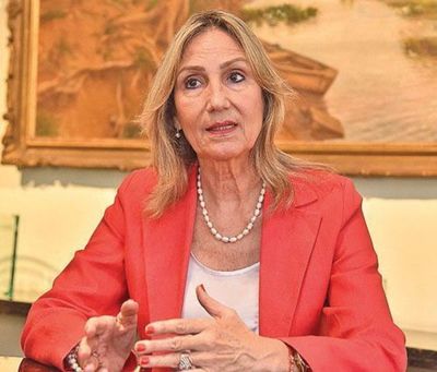 Propagandas electorales: "La fiscalía electoral debe tomar medidas", dijo abogada