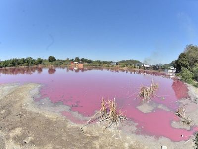 Exigen cierre de curtiembre para detener contaminación de Laguna Cerro