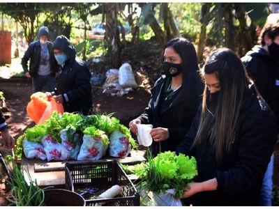 Huerta municipal provee productos a  10 ollas populares