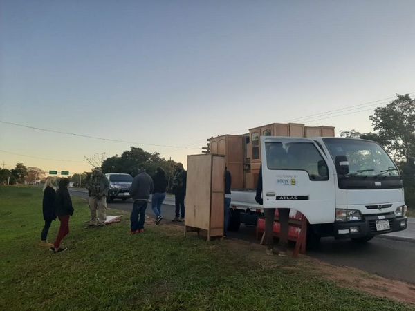 Llevaban marihuana dentro de muebles y fueron pillados