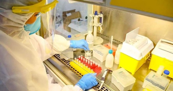 Biólogos aseguran que ley del bioquímico los excluye