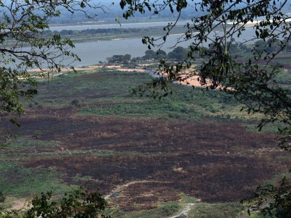 Cerro Lambaré, amenazado por quemas e invasiones