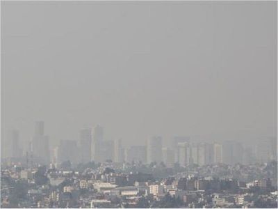 Científicos alertan que el ozono ya amenaza la biodiversidad mundial
