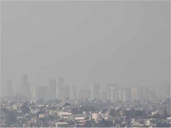 Científicos alertan que el ozono ya amenaza la biodiversidad mundial