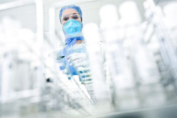 Covid-19: qué conoce la ciencia y qué no después de más de siete meses - Ciencia - ABC Color