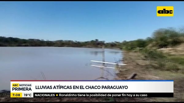 Lluvias atípicas traen tranquilidad al Chaco - ABC Noticias - ABC Color
