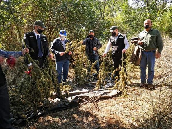 Ministros de Seguridad de Paraguay y Brasil visitaron zona de la Operación Nueva Alianza en Amambay