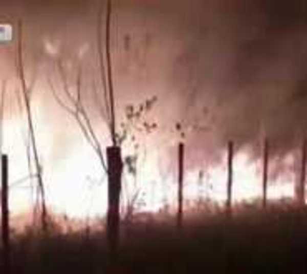 Humedales del arroyo Choré ardieron en llamas - Paraguay.com