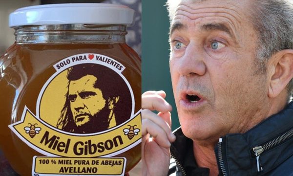 La «Miel Gibson» puso en aprietos a mipymes chilena