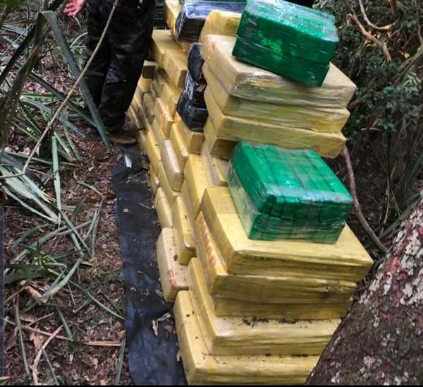 En Canindeyú incautan droga por US$ 500 mil