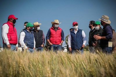 Gobierno prepara asistencia para fortalecer a los pequeños productores - Noticde.com