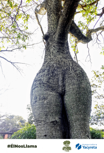Aseguradora Yacyreta, apoyando nuevamente a los “Colosos de la tierra” - Megacadena — Últimas Noticias de Paraguay