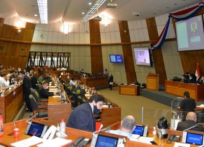 Diputados quieren recortar los gastos de representación de los concejales municipales - Nacionales - ABC Color
