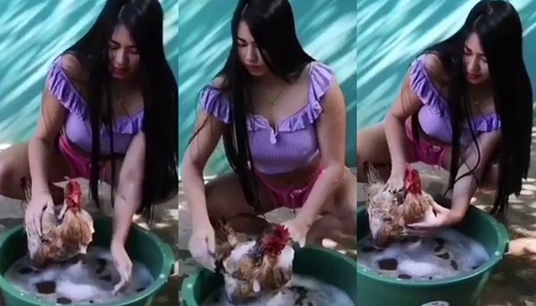 LaurysDyva le dio un baño a su gallina - Teleshow