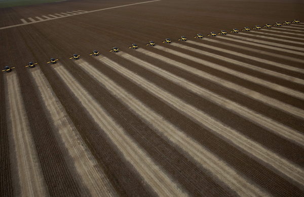 Brasil recogerá un récord de 278 millones de toneladas de granos en la nueva cosecha - MarketData