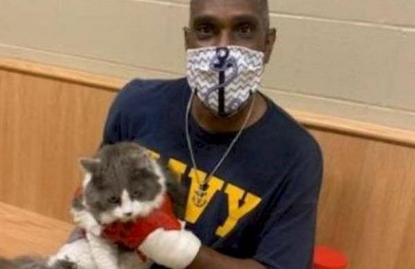 Hombre fue a un refugio para adoptar una mascota tras perder a su gato y encontró al felino en el recinto - SNT