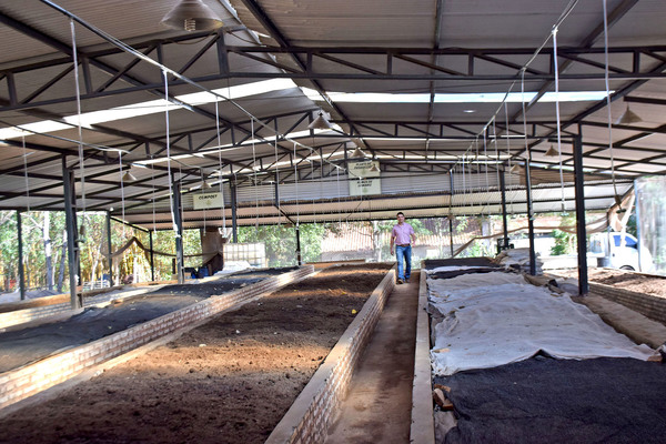 Humus y compost para la sostenibilidad del suelo
