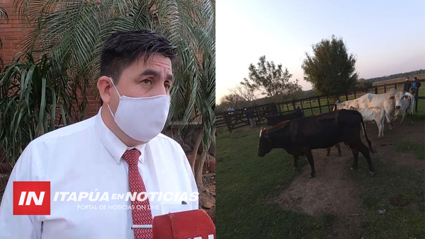 ALLANARON INMUEBLES E INCAUTAN 14 VACAS COMPRADAS SUP. CON DINERO HURTADO DE LA FIRMA ALGISA