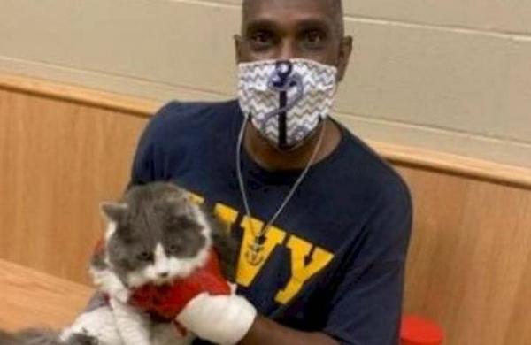 Hombre fue a un refugio para adoptar una mascota tras perder a su gato y encontró al felino en el recinto - C9N