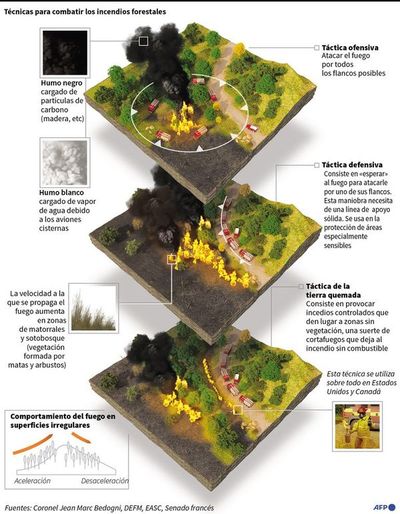 Argentina sufre una ola inusual de incendios rurales - Mundo - ABC Color