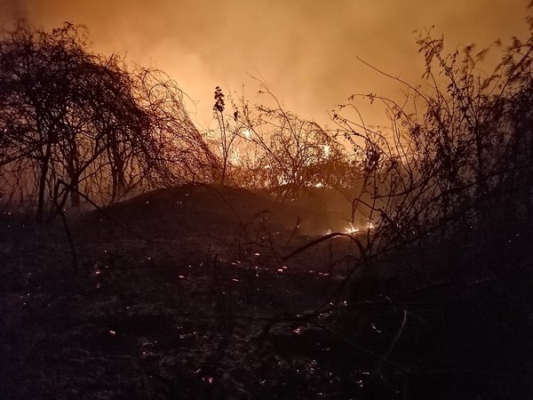 Ardua labor de bomberos para combatir incendio en la Costanera Norte - Megacadena — Últimas Noticias de Paraguay