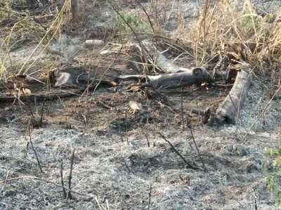 Logran controlar el incendio en los pastizales en zona de Banco San Miguel » Ñanduti