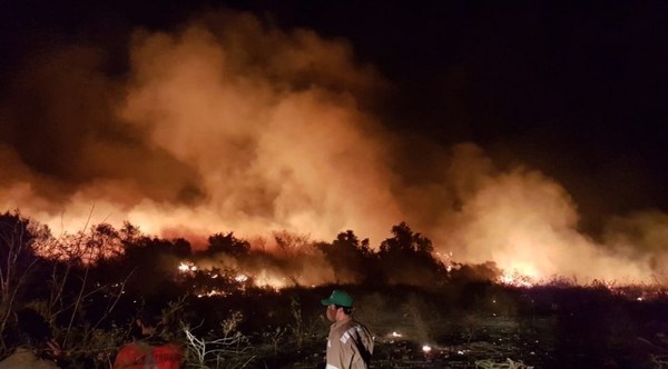 Incendio de grandes proporciones en Costanera de Asunción