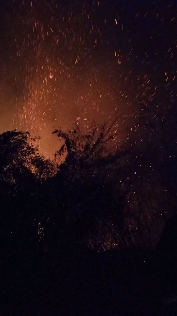 Incendios forestales: MADES no cuenta con equipos para el combate, solo cuantifica los daños, afirman