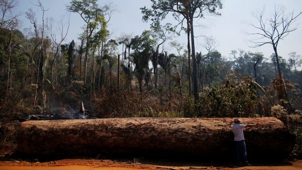 Deforestación en Brasil pone en riesgo el acuerdo UE-Mercosur