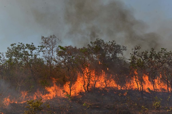 Los incendios amazónicos provocan cientos de hospitalizaciones en Brasil » Ñanduti
