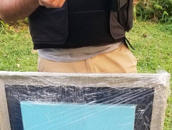 HOY / En un allanamiento recuperan valioso cuadro ofertado por Internet