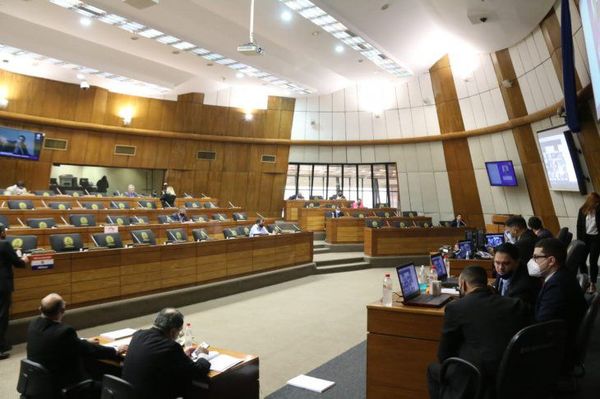 LEY DE ARANCEL CERO VUELVE AL SENADO CON MODIFICACIONES SELECTIVAS