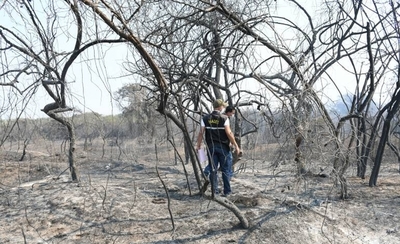 HOY / Incendio en la Bahía de Asunción afectó el hábitat de aves playeras y migratorias
