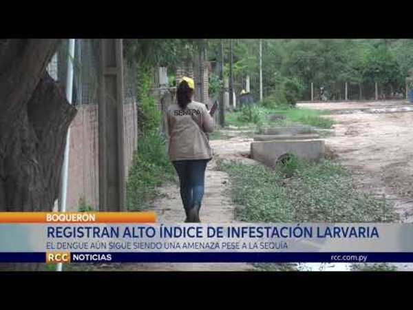 DENGUE: HAY ALTO ÍNDICE DE INFESTACIÓN LARVARIA EN LOS TRES DISTRITOS DE BOQUERÓN EN PLENA SEQUÍA