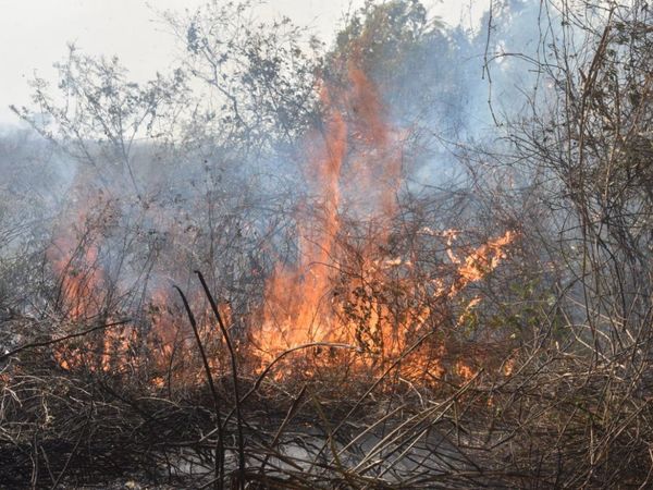 Piden alimentos y agua para familias del Banco San Miguel afectadas por incendio