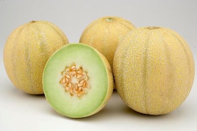 El estado brasileño de Ceará aumenta sus exportaciones de melón en el primer semestre - MarketData