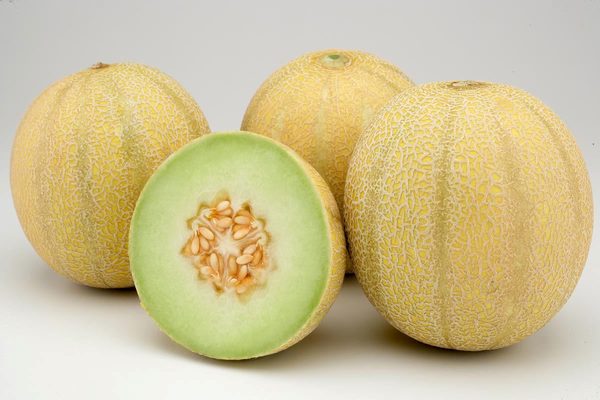 El estado brasileño de Ceará aumenta sus exportaciones de melón en el primer semestre - MarketData