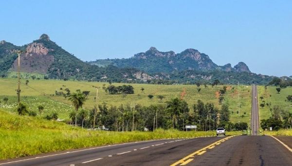 Infraestructura verde: ¿en qué consiste el programa de recuperación de corredores biológicos?