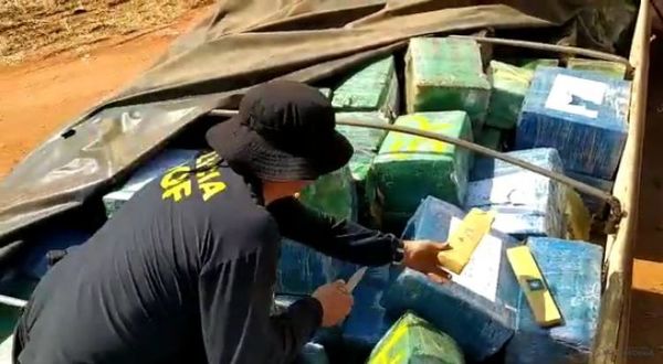 DOF incauta más de 33 mil kilos de marihuana en Maracaju